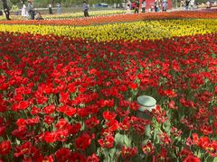 -廊坊文化艺术中心