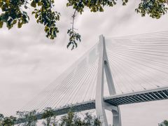 -芒洲湿地公园