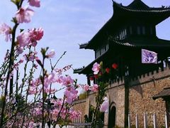 -爱新觉罗皇家博物院
