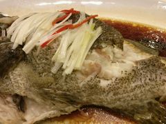 清蒸石斑鱼-蓝海大饭店·渔歌舫(黄岛店)