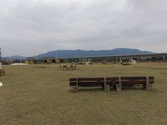 -光明小镇欢乐田园