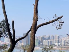 -岳麓山风景名胜区