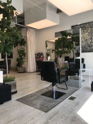 -Hair  Gallery