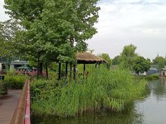 -成飞公园