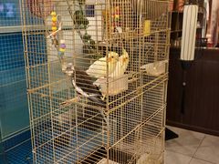 -潇湘·永州会馆(百子湾店)