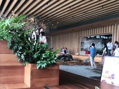 -Seesaw Coffee(朝阳大悦城店)