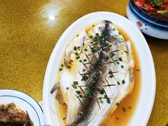 -呼吸森林·生态农庄农家乐私房菜