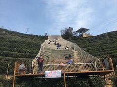 -长沙黑麋峰国家森林公园