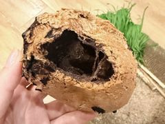 -九芝斋(解放路店)