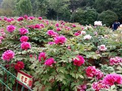 -幕燕滨江·长江观音景区