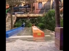 -哈尔滨波塞冬海底世界