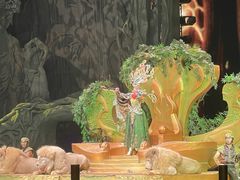 -广州长隆国际大马戏