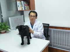 -美联众合动物医院·伴可分院·内科中心医院