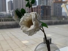 -1874融合西厨·观景餐厅(保利店)