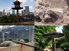 -昆明动物园