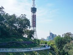 -广州雕塑公园