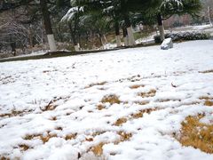 -白塘生态植物园