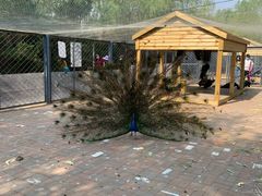 -长白岛森林公园