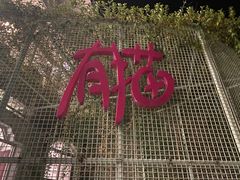 -有猫主题·治愈系猫咖(曾厝垵店)