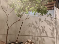 -沅江水·湖南家宴(南村万博长隆商圈店)