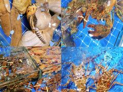 -四川小胡子海鲜(丁村万人海鲜广场店)