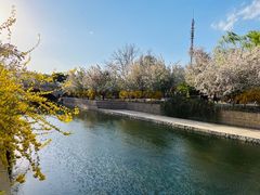 -元大都城垣遗址公园