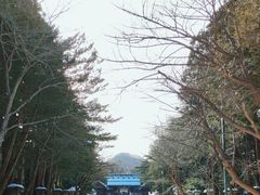 -北海道神宫