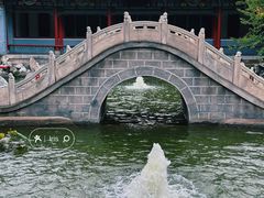 -碑林公园