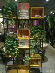 点击看大图 -藤野造型