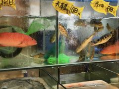-龚记海鲜20年老字号