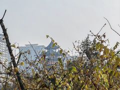-塔子山公园