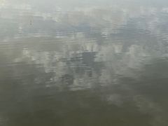 -党河风情线国家水利风景区