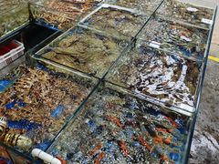 -船奇蒸汽海鲜·闽菜(八市海鲜总店)