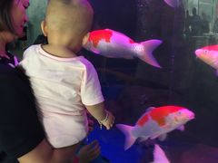 -泉州海丝野生动物世界