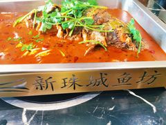 -新珠城鱼坊(龙湖店)