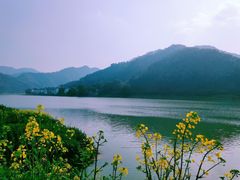 -新安江山水画廊风景区
