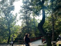 -红螺寺