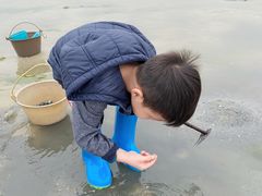-红树林天天赶海