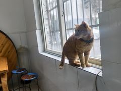 -姐妹面馆(水澄路店)
