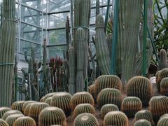 -南山植物园