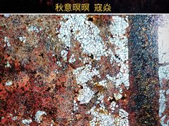 -上海市普陀区文化馆