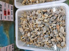 -宝燕壹号(徐汇店)