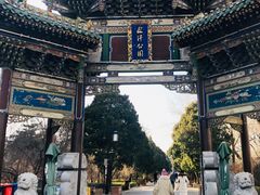 -迎泽公园