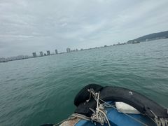 -广东惠东海龟国家级自然保护区