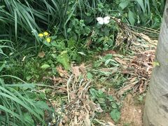 -花溪王记牛肉粉(四季花溪商场店)