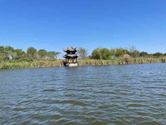 杭州湾海上花田景区