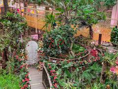 -正佳雨林生态植物园