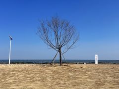 -巧克力渔家.小船海鲜家常菜(万平口店)