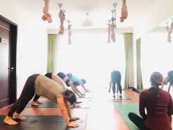-Yvon yoga 瑜伽·精准体态管理中心