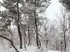 -气象山健身公园